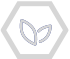 ico06